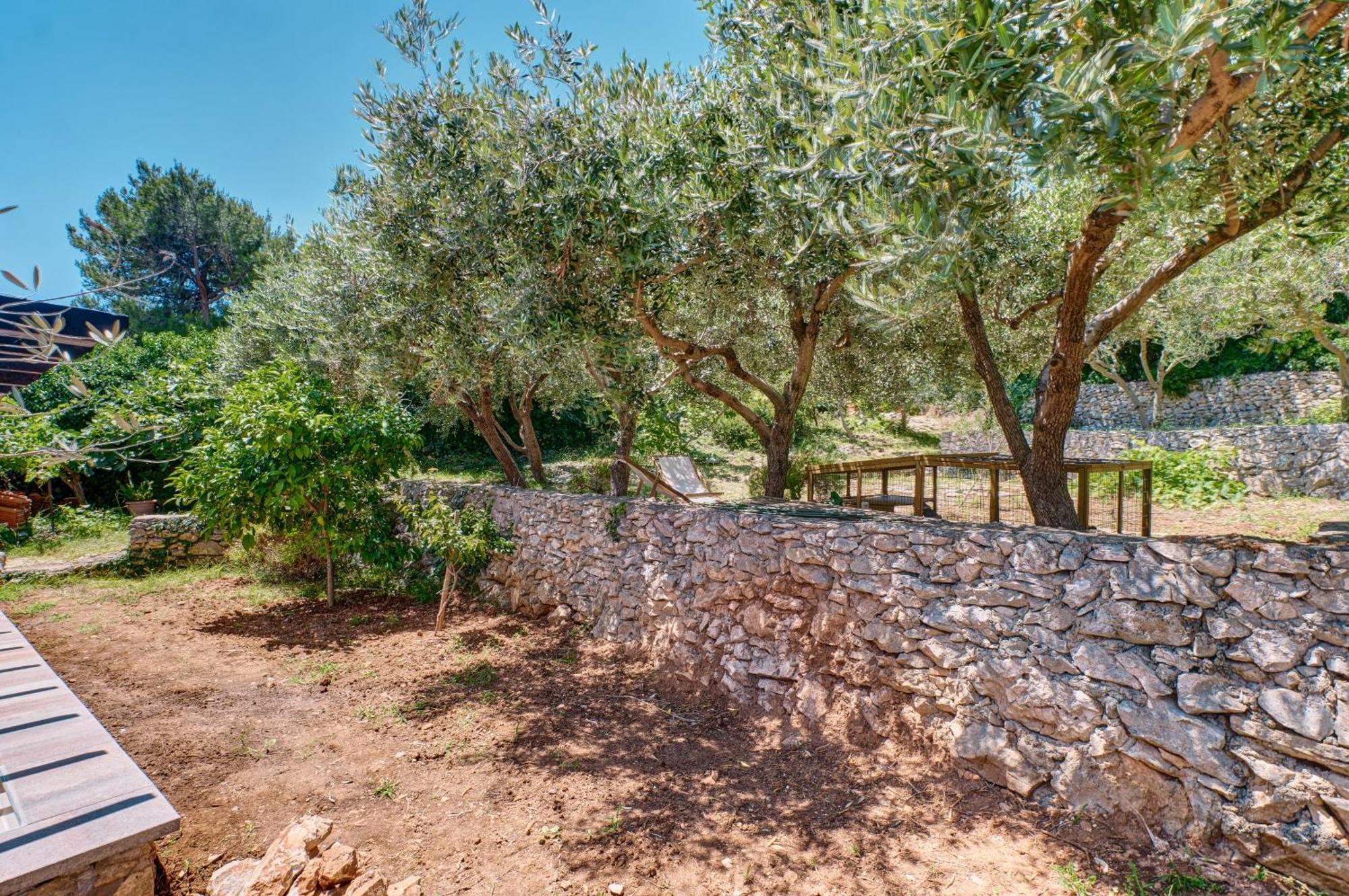 Providenca Accommodation Mali Lošinj Esterno foto